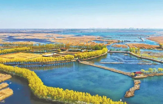为生态雄安筑牢法治之基——《白洋淀生态环境治理和保护条例》解读